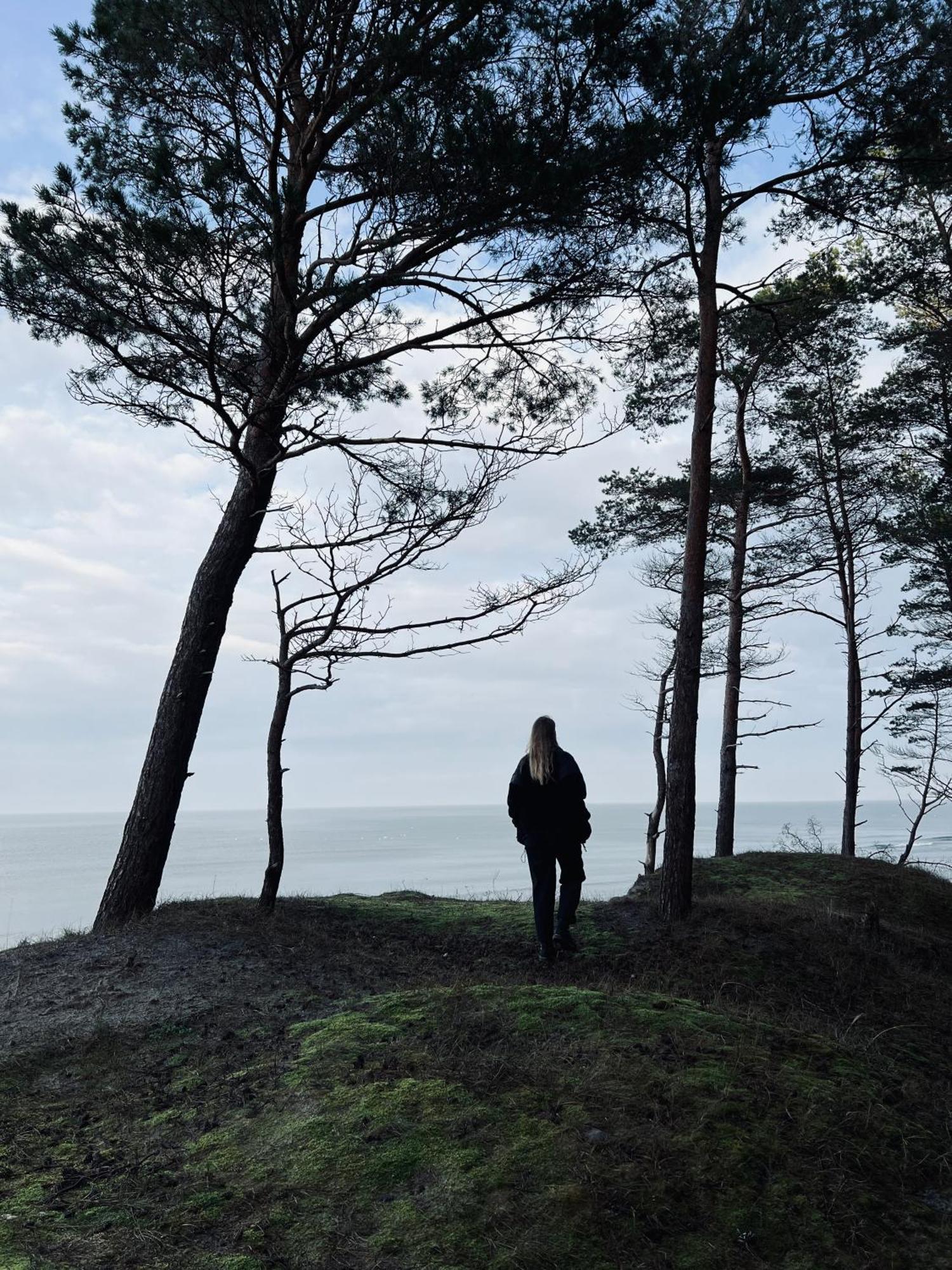 Plyniewoda - Caloroczne Domy Premium, Klimatyzacja, Kominek, Blisko Morza Dziwnów エクステリア 写真