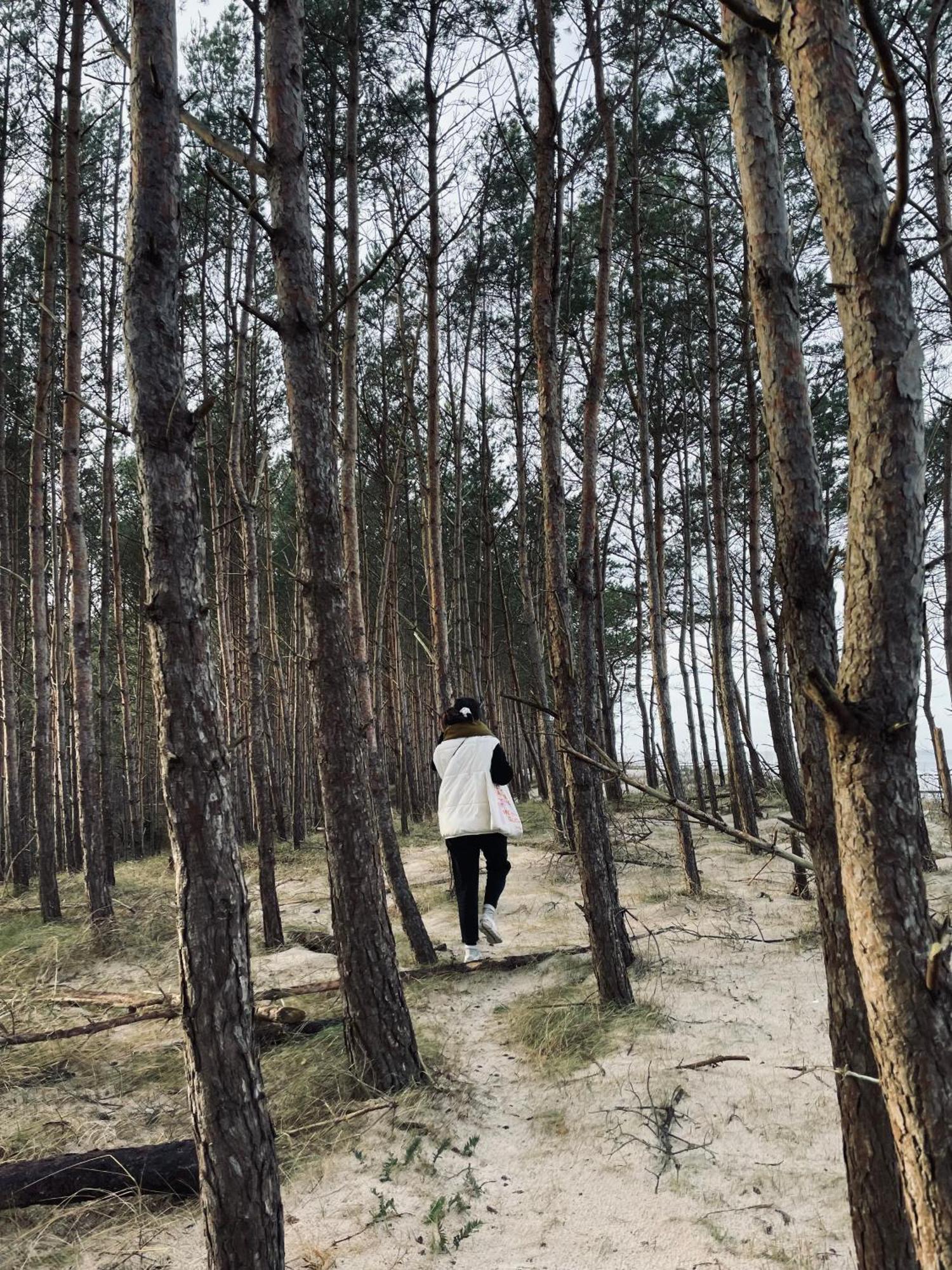 Plyniewoda - Caloroczne Domy Premium, Klimatyzacja, Kominek, Blisko Morza Dziwnów エクステリア 写真